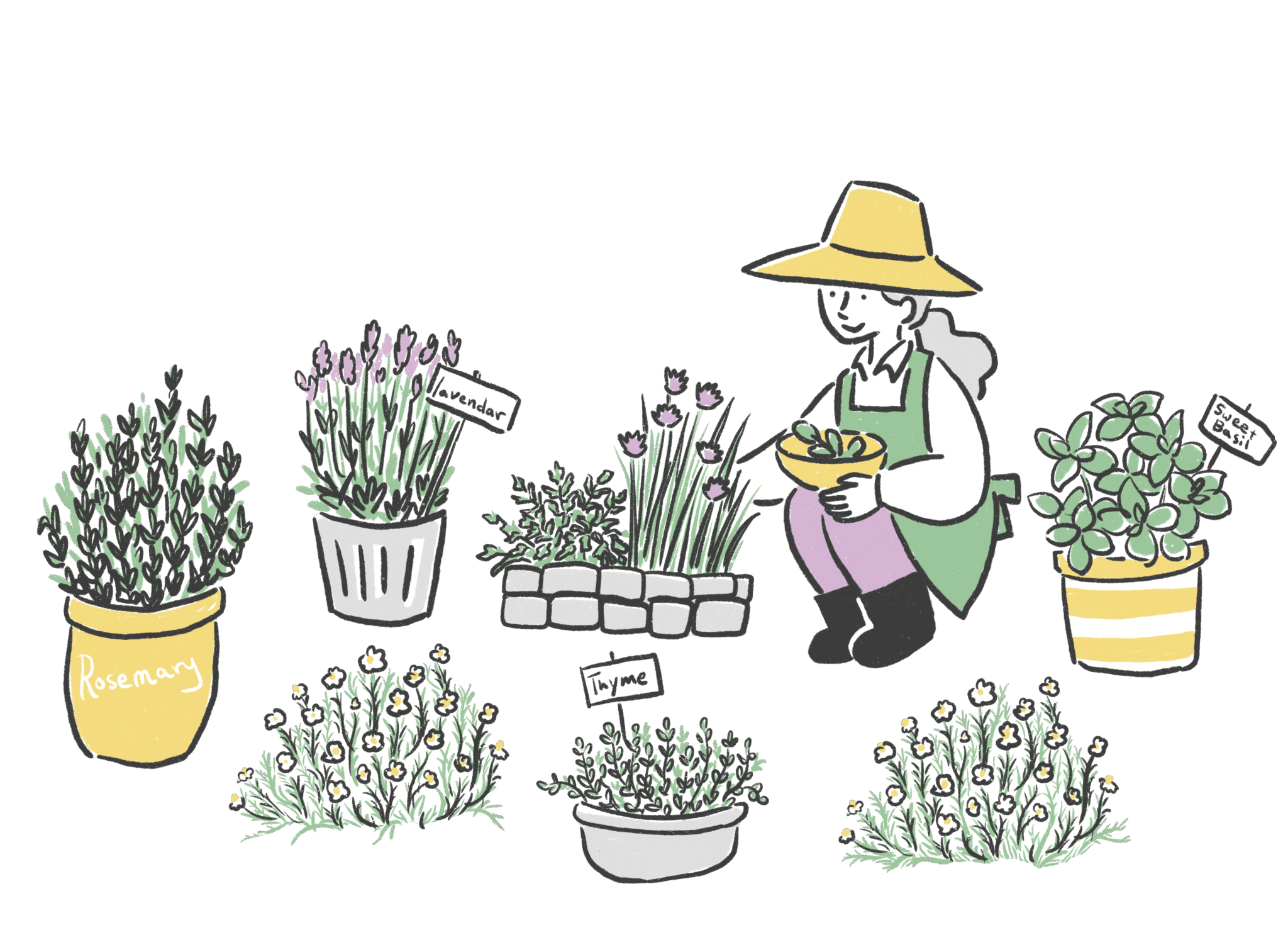 ドラセナの育て方ガイド：幸福を呼ぶ水やりからトラブル対処法まで