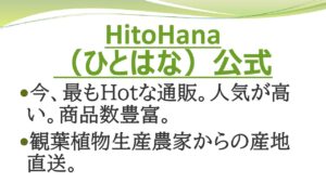 観葉植物の人気通販「ひとはな」