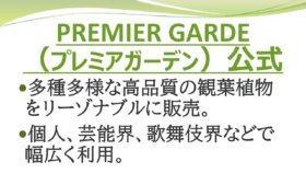 観葉植物の人気通販「プレミアガーデン」