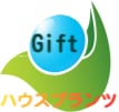 観葉植物の幸運ギフト