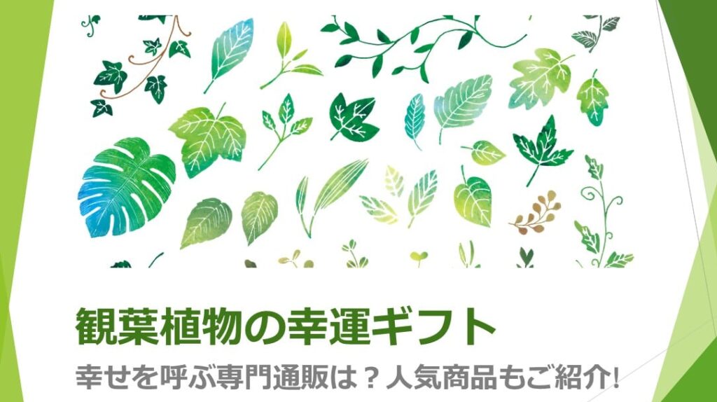 観葉植物の幸運ギフト