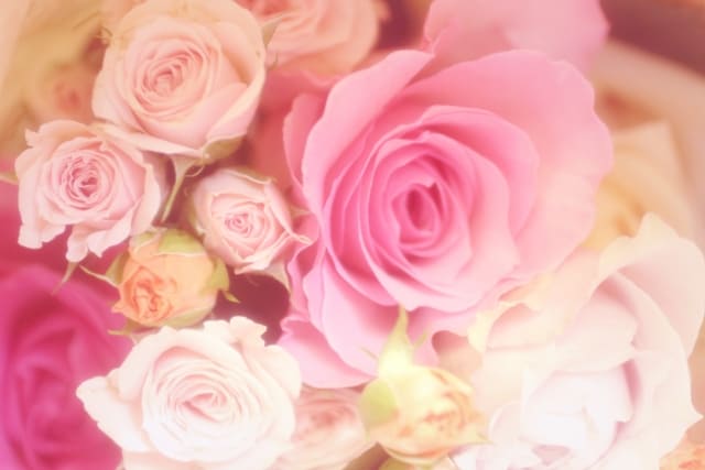 バラの花言葉 花通販 本数別 色別 さまざまな愛の気持ちを薔薇の花に託して 花通販happyｶﾞｲﾄﾞ
