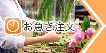 花通販 Happyガイド | 花通販おすすめランキング|失敗しない選び方と人気ショップ比較【2026年版】 花通販「イーフローラ」の紹介。急ぎの時の王道通販。 日比谷花壇系・安心の花通販。