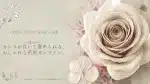 花通販 Happyガイド | 12月の誕生花(月・日ごと)一覧|花言葉・贈り方・通販・手入れなど詳細情報!! 花通販 Happyガイド | 12月の誕生花(月・日ごと)一覧|花言葉・贈り方・通販・手入れなど詳細情報!!