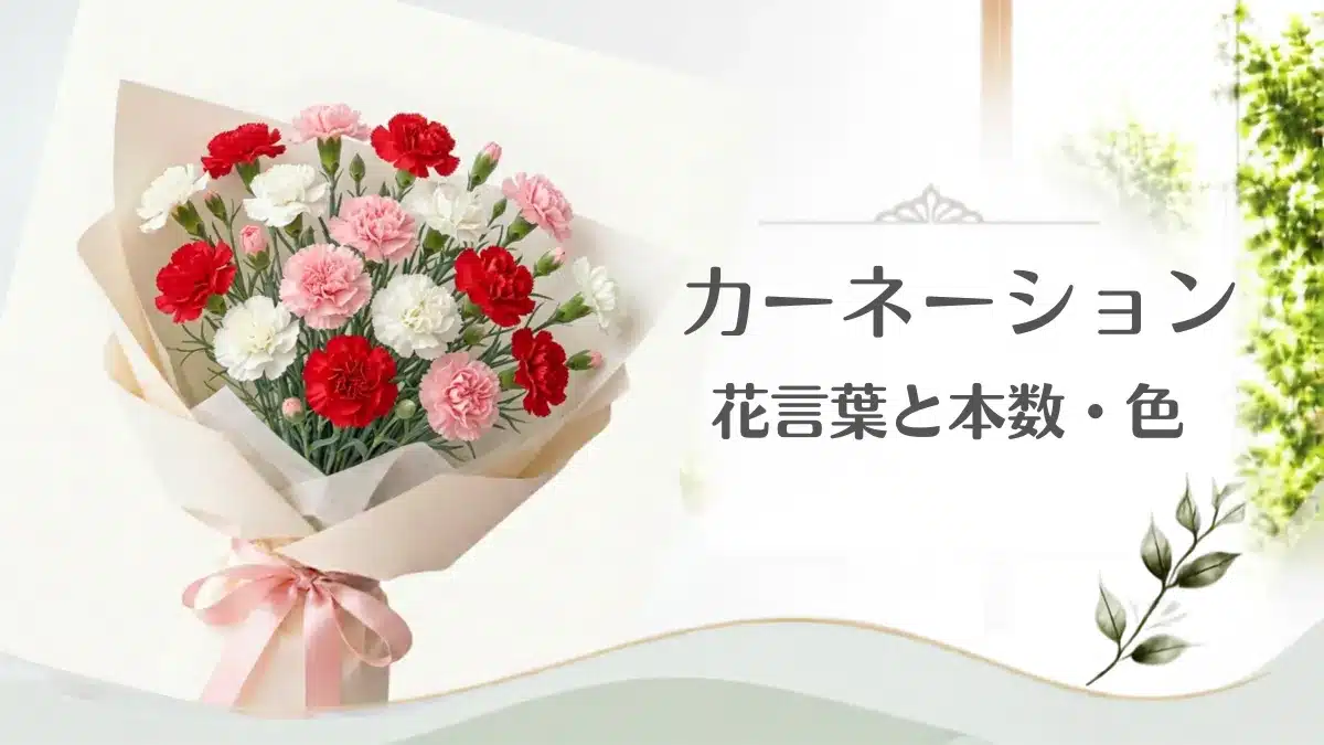 カーネーションの花言葉に関する記事のアイキャッチ用画像・花束