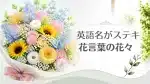 おしゃれな英語名を持つ花の花言葉の記事を象徴する花束・アイキャッチ用