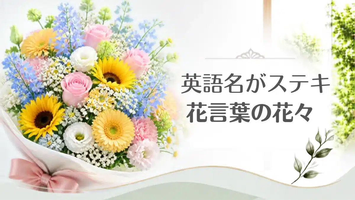 花通販 Happyガイド | 花の英語名とおしゃれな花言葉75選!メッセージに添えたい英語フレーズ集 おしゃれな英語名を持つ花の花言葉の記事を象徴する花束・アイキャッチ用