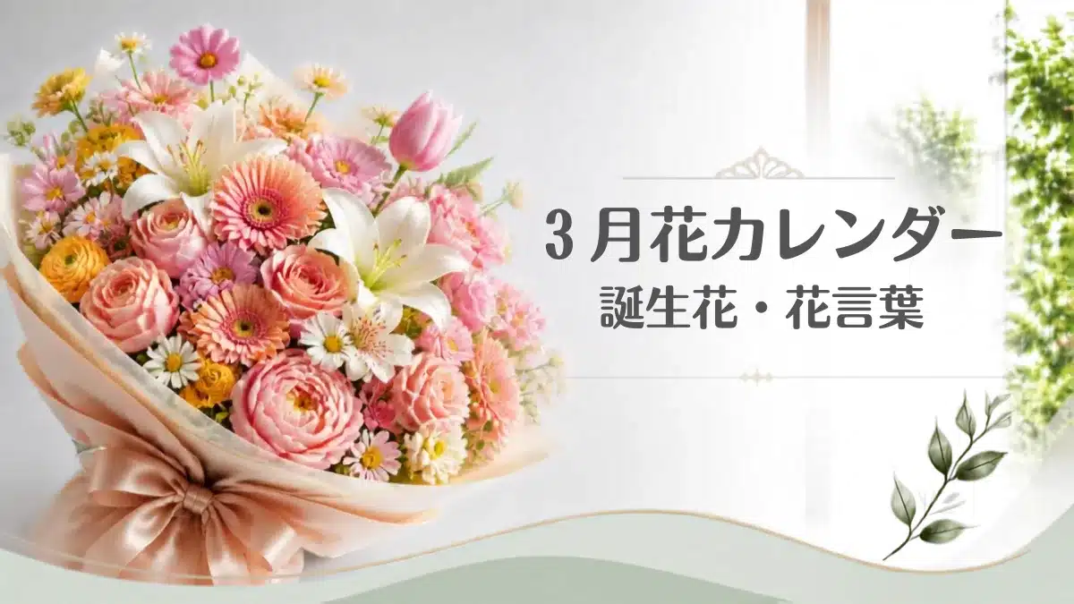 花通販 Happyガイド | 【3月の誕生花と花言葉】1日〜31日の日別一覧と代表花ラナンキュラス!おしゃれなギフトの選び方 3月の誕生花・花言葉カレンダーを象徴するおしゃれな豪華花束・アイキャッチ用
