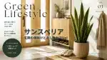 サンスベリアで玄関の魔除けとおしゃれさUpを表現する玄関の美しいサンスベリア画像