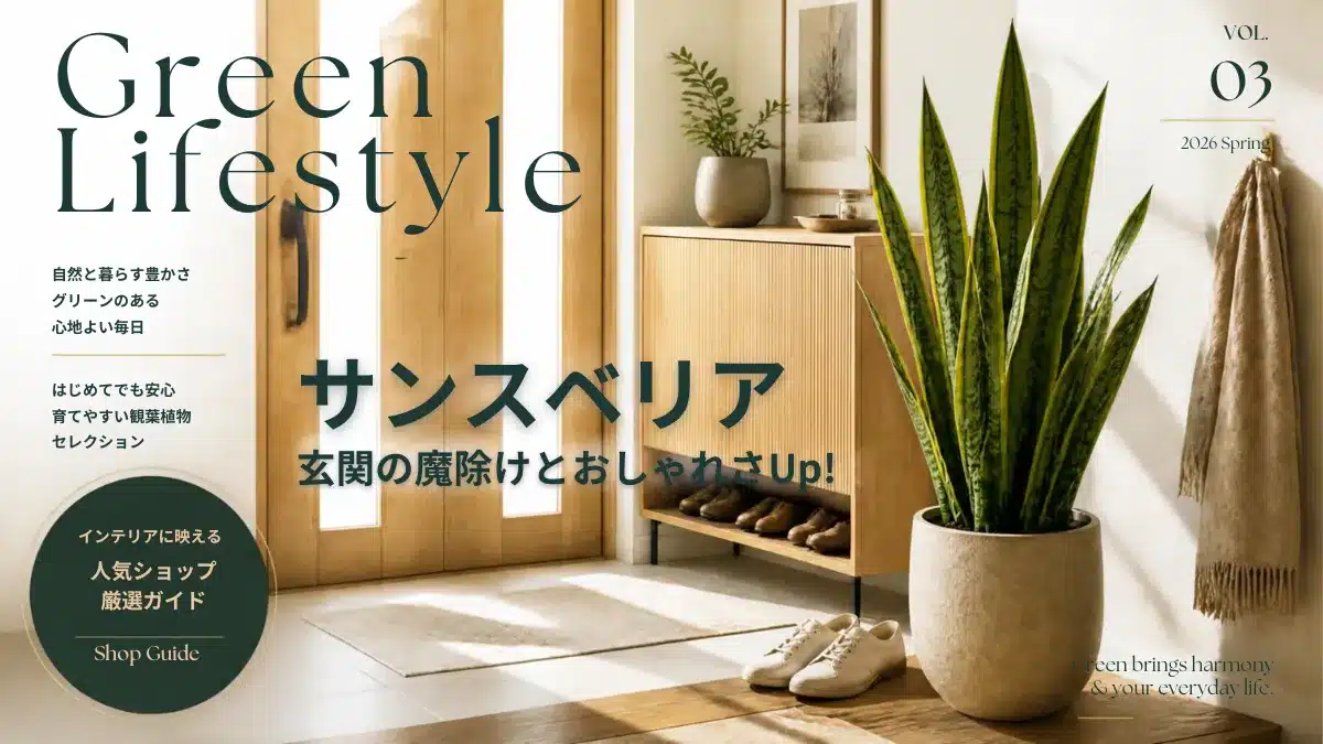 サンスベリアで玄関の魔除けとおしゃれさUpを表現する玄関の美しいサンスベリア画像