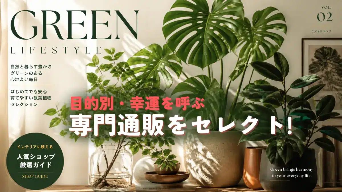 おしゃれな観葉植物を販売する、おすすめの観葉植物通販を、目的に合わせてセレクトするためのメインイメージ