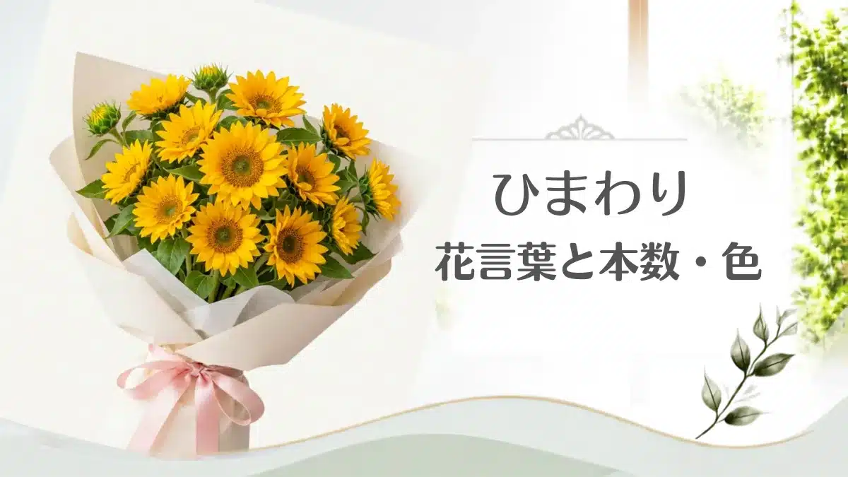 Botanical Select | 【ひまわりの花言葉】あなただけを見つめる!本数・色別の意味とおすすめギフト ひまわりの花言葉に関する記事のアイキャッチ用画像・花束