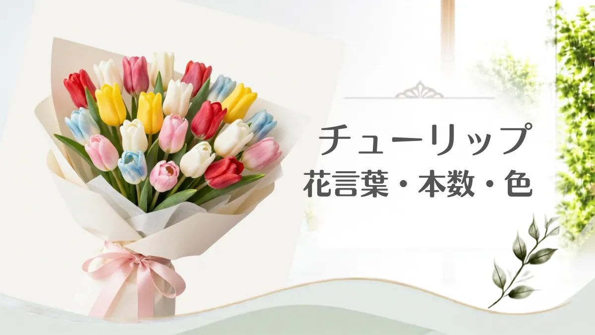 花通販 Happyガイド | チューリップの花言葉は本数・色で変わる?愛を伝える選び方と人気ギフト チューリップの花言葉に関する記事のアイキャッチ用画像・花束