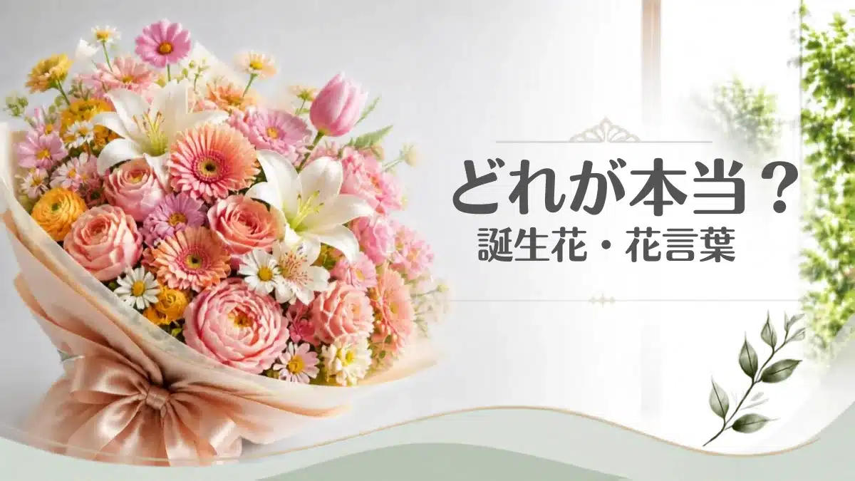 Botanical Select | 【どれが本当の誕生花?】複数存在する4つの理由と失敗しない選び方・贈り方 どれが本当の誕生花・花言葉か?を象徴するおしゃれな豪華花束・アイキャッチ用