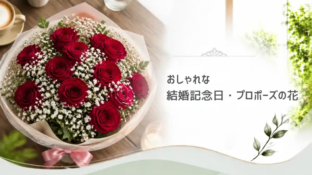 Botanical Select | 記念日のおしゃれな花通販おすすめ14選【2026年最新】マンネリを打破するブランド選び おしゃれな結婚記念日・プロポーズ花おすすめ通販の記事のバラとカスミソウの花束アイキャッチ画像