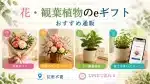 【住所不要】LINEで送れるお花・観葉植物のeギフトおすすめ4選を象徴するアイキャッチ画像