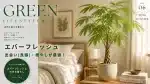エバーフレッシュは出会いと癒やしが最強！記事のアイキャッチ用おしゃれな寝室に置いたエバーフレッシュの画像