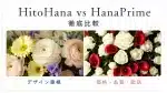 hitohanaとhanaprimeを徹底比較するアイキャッチ画像のイメージ（花と言葉で特徴を日表現）