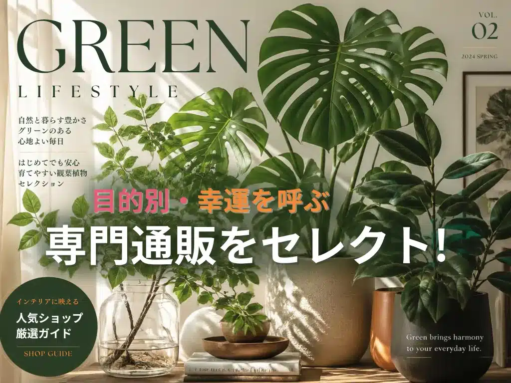 観葉植物の検証写真