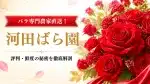 河田ばら園の評判・口コミは？バラ農家直送の品質やプロポーズ・記念日での選び方を象徴する花束画像・アイキャッチ用