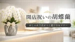 おしゃれな開店祝いの胡蝶蘭を象徴するイメージ画像