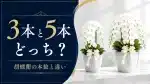 胡蝶蘭の本数の意味と違い｜3本・5本どれがいい？を象徴するアイキャッチ画像