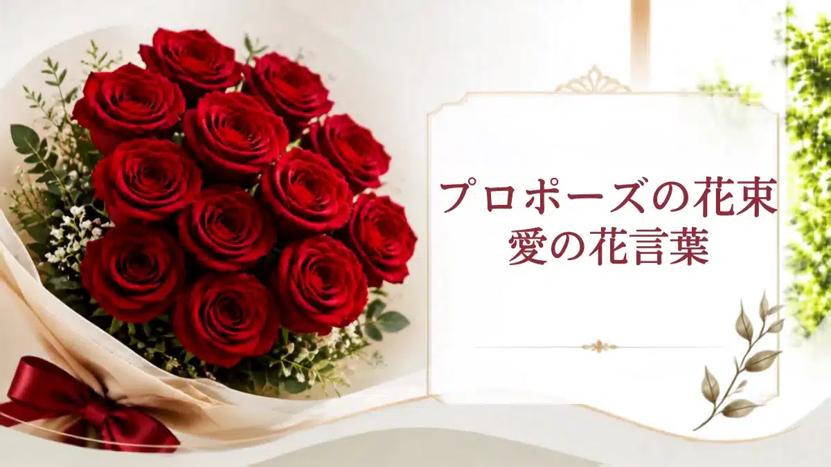 プロポーズの花束・愛の花言葉記事を象徴するバラの花束アイキャッチ画像