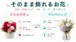 【花瓶不要】そのまま飾れるお花ギフト対決！日比谷花壇 vs HitoHana(ひとはな)を象徴するアイキャッチ・イメージ画像