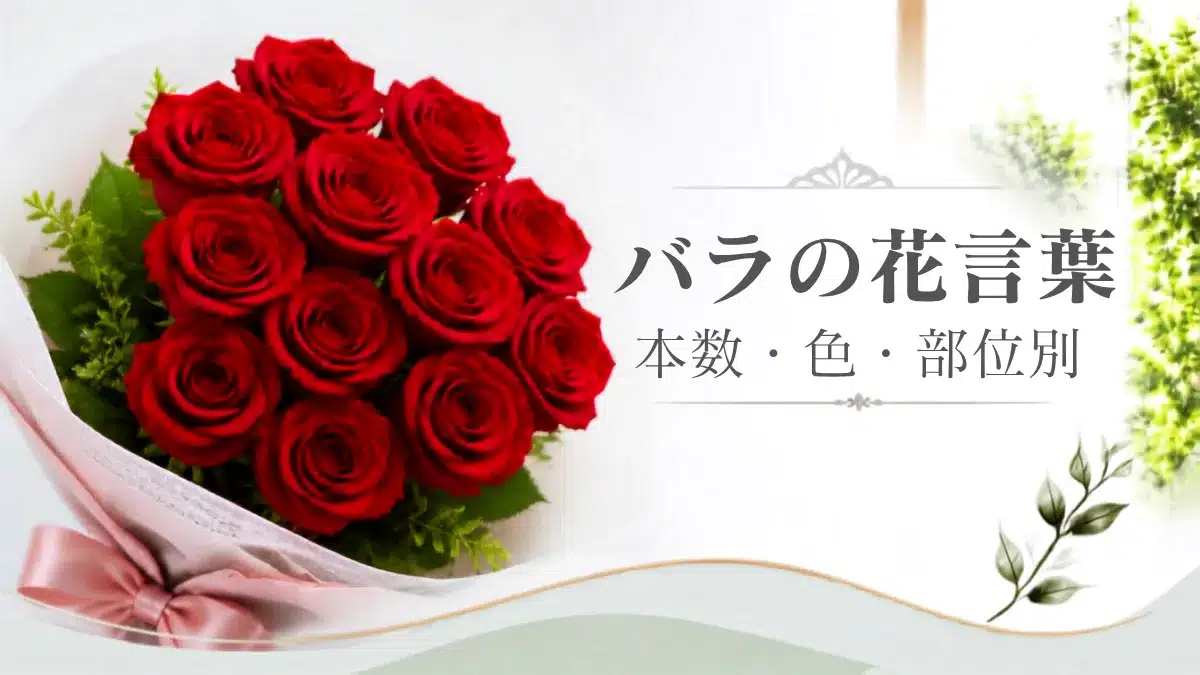 Botanical Select | 【2026年最新】バラ(薔薇)の花言葉一覧|本数(1〜1001本)・色・部位別の意味とおすすめ通販 バラ(薔薇)の花言葉一覧記事を象徴するアイキャッチ画像・赤いバラ花束