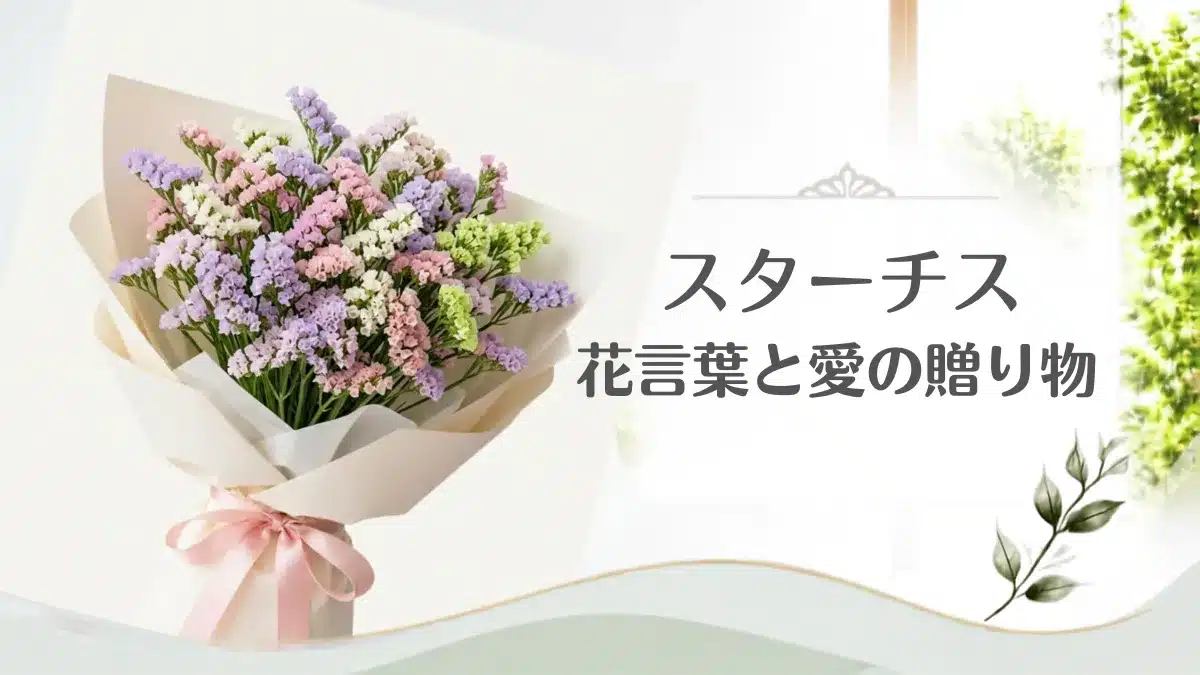 花通販 Happyガイド | スターチスの花言葉は怖い?色別の意味やドライフラワーの作り方・おすすめギフト スターチスの花言葉に関する記事のアイキャッチ用画像・花束
