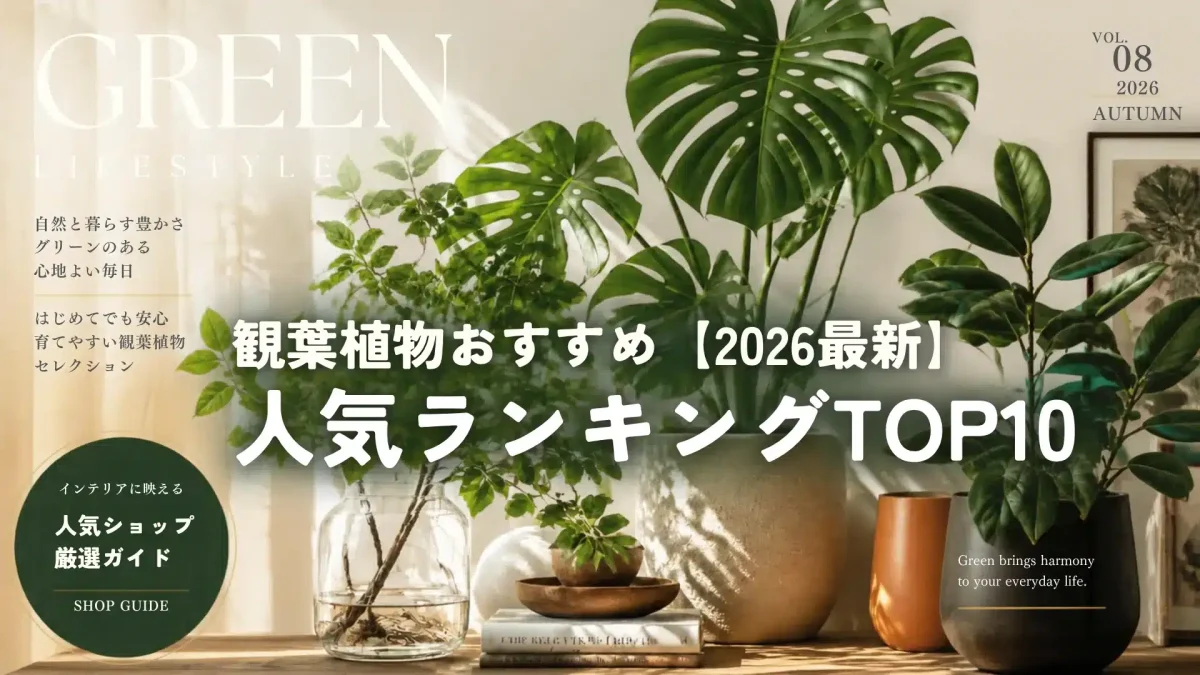 観葉植物おすすめ人気ランキングTOP10【2026最新】を現わす雑誌風の観葉植物写真